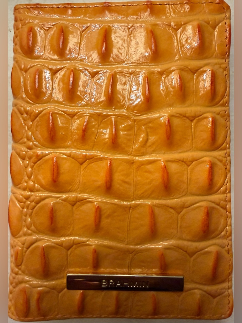 Brahmin Passport Wallet